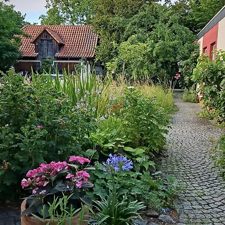 Wildblume Apartament