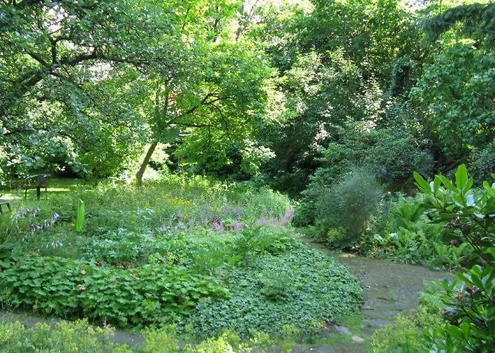 Wildblume * Winsen an der Aller